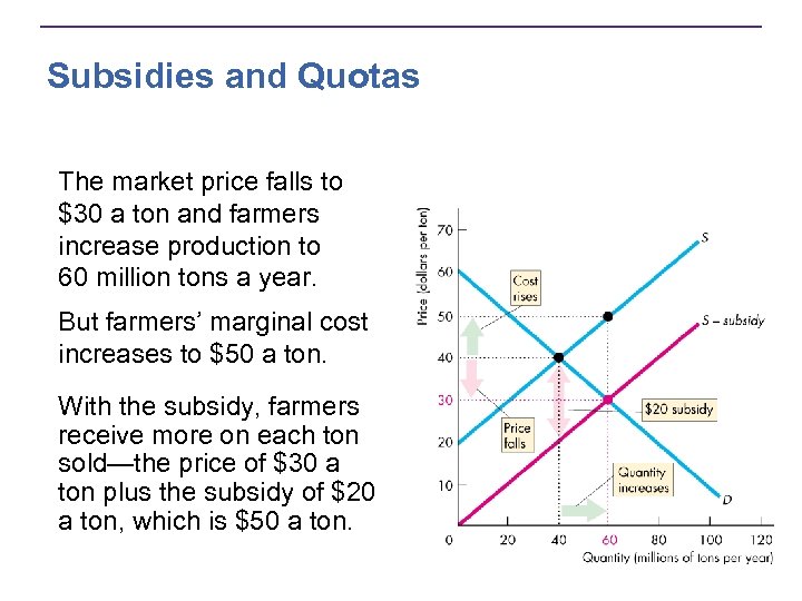 Subsidies and Quotas The market price falls to $30 a ton and farmers increase