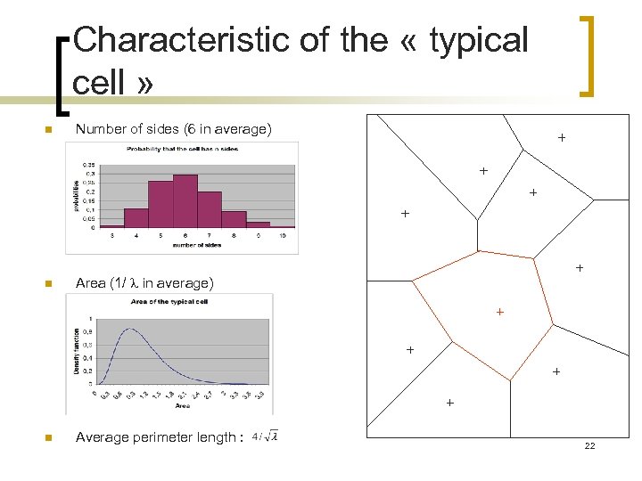 Characteristic of the « typical cell » n Number of sides (6 in average)