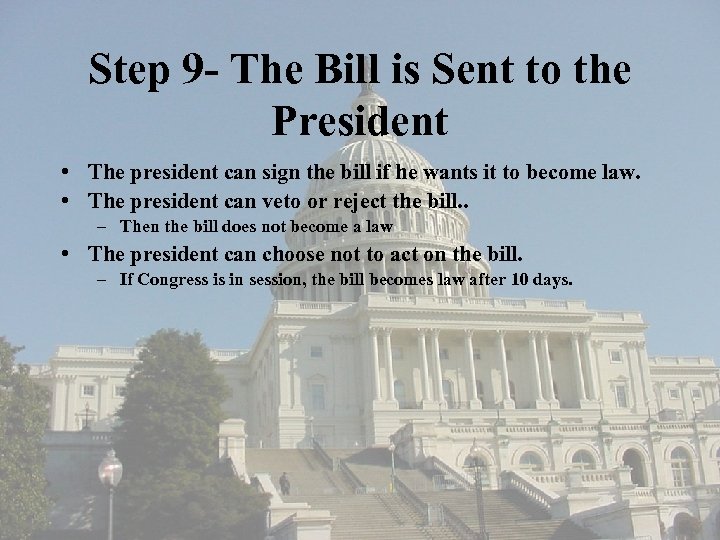 Step 9 - The Bill is Sent to the President • The president can