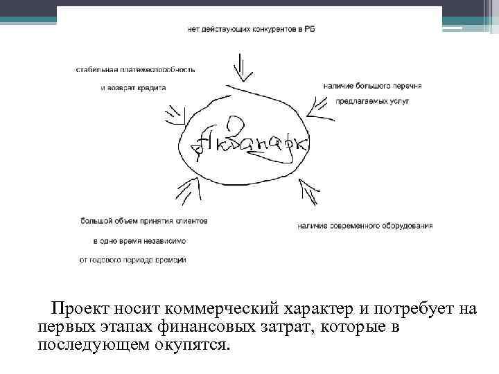 Проект носит коммерческий характер и потребует на первых этапах финансовых затрат, которые в последующем