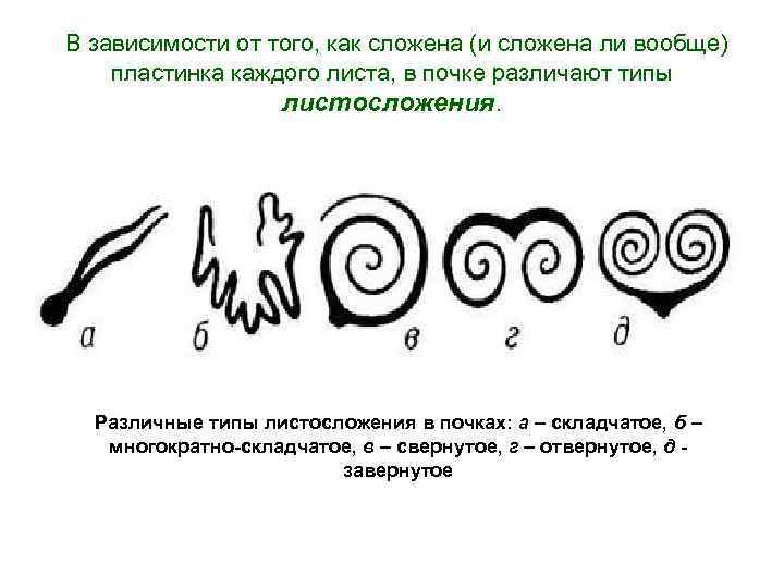  В зависимости от того, как сложена (и сложена ли вообще) пластинка каждого листа,