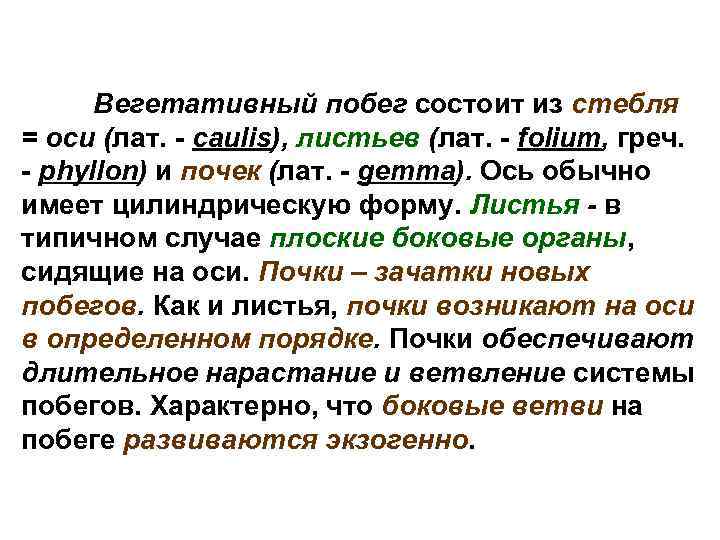 Вегетативный побег состоит из стебля = оси (лат. - caulis), листьев (лат. - folium,