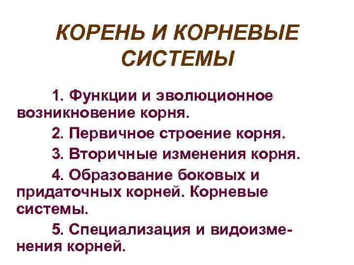 КОРЕНЬ И КОРНЕВЫЕ СИСТЕМЫ 1. Функции и эволюционное возникновение корня. 2. Первичное строение корня.