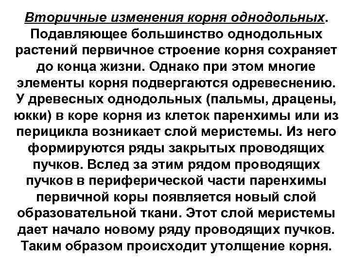 Вторичные изменения корня однодольных. Подавляющее большинство однодольных растений первичное строение корня сохраняет до конца