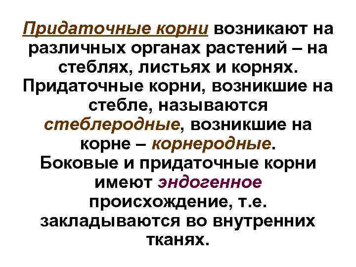 Придаточные корни возникают на различных органах растений – на стеблях, листьях и корнях. Придаточные
