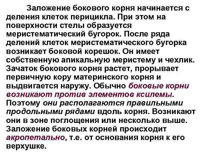 Заложение бокового корня начинается с деления клеток перицикла. При этом на поверхности стелы образуется