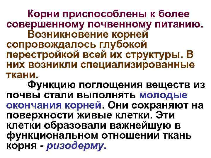 Корни приспособлены к более совершенному почвенному питанию. Возникновение корней сопровождалось глубокой перестройкой всей их
