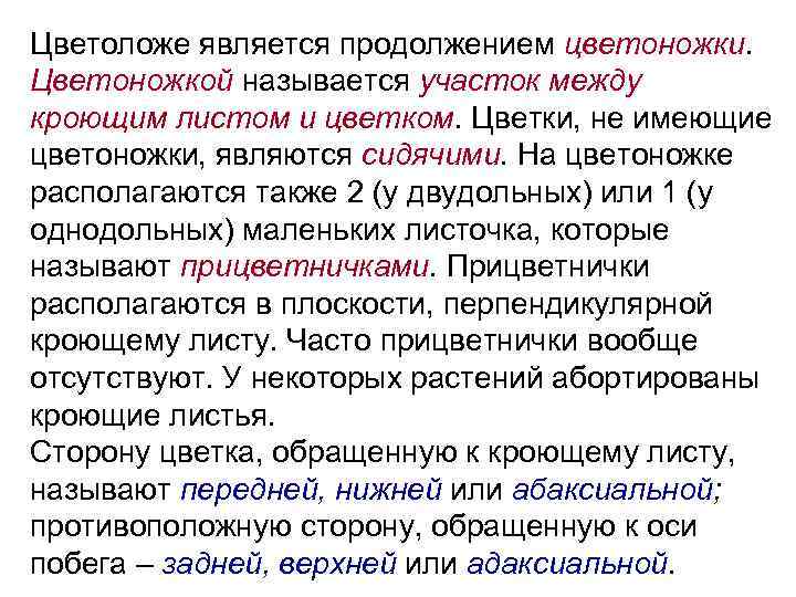 Цветоложе является продолжением цветоножки. Цветоножкой называется участок между кроющим листом и цветком. Цветки, не