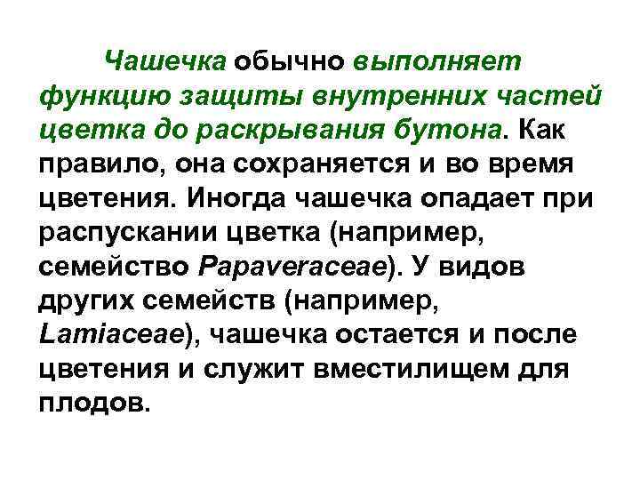 Чашечка обычно выполняет функцию защиты внутренних частей цветка до раскрывания бутона. Как правило, она