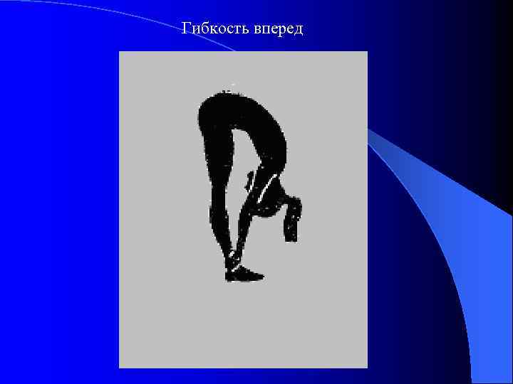 Гибкость вперед 