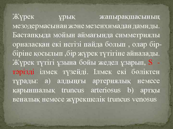 Жүрек ұрық жапырақшасының мезодермасынан және мезенхимадан дамиды. Бастапқыда мойын аймағында симметриялы орналасқан екі негізі