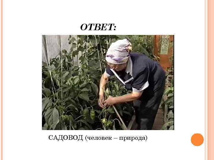ОТВЕТ: САДОВОД (человек – природа) 