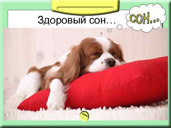 Здоровый сон… 