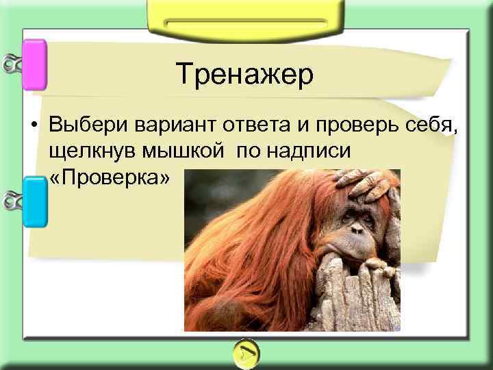 Тренажер • Выбери вариант ответа и проверь себя, щелкнув мышкой по надписи «Проверка» 