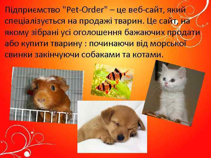 Підприємство "Pet-Order" – це веб-сайт, який спеціалізується на продажі тварин. Це сайт, на якому