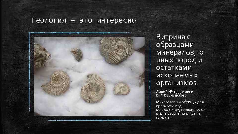 Геология – это интересно Витрина с образцами минералов, го рных пород и остатками ископаемых