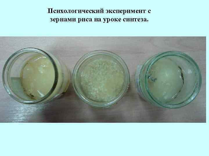 Психологический эксперимент с зернами риса на уроке синтеза. 