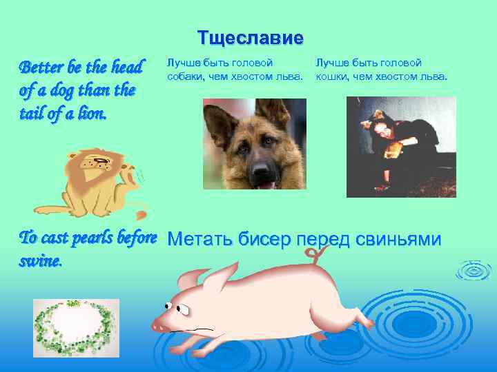 Тщеславие Better be the head of a dog than the tail of a lion.