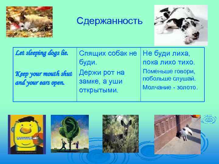 Сдержанность Спящих собак не буди. Keep your mouth shut Держи рот на замке, а