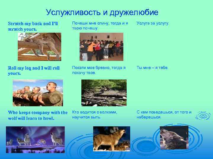 Услужливость и дружелюбие Scratch my back and I’ll scratch yours. Почеши мне спину, тогда