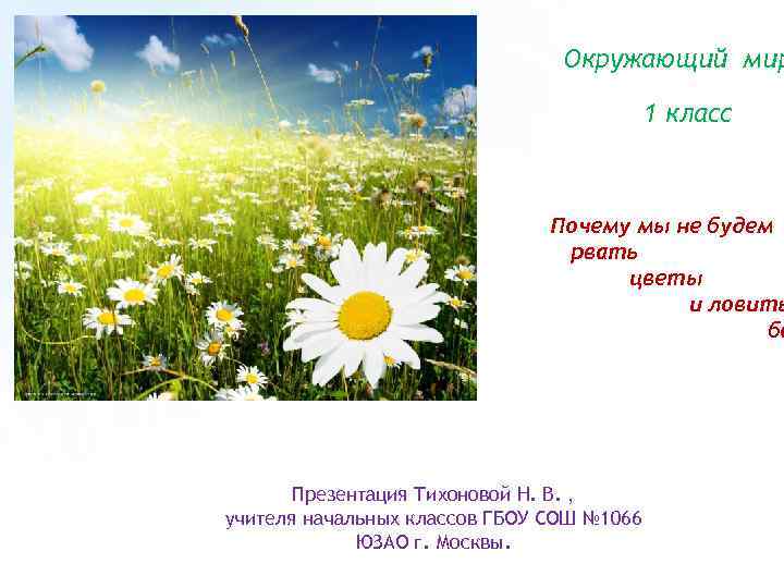 Окружающий мир 1 класс Почему мы не будем рвать цветы и ловить ба Презентация