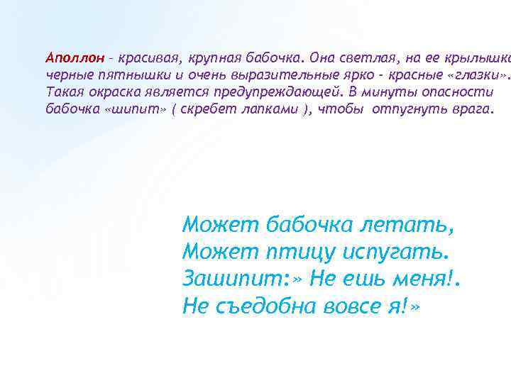 Аполлон – красивая, крупная бабочка. Она светлая, на ее крылышка черные пятнышки и очень