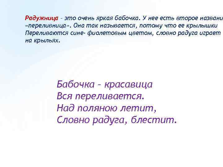 Радужница – это очень яркая бабочка. У нее есть второе названи «переливница» . Она