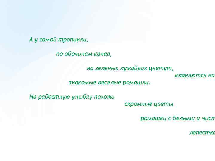 А у самой тропинки, по обочинам канав, на зеленых лужайках цветут, кланяются вам знакомые