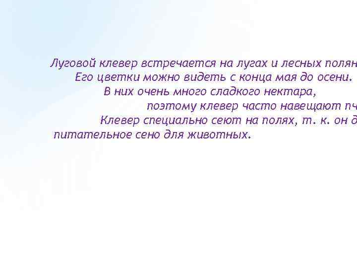 Луговой клевер встречается на лугах и лесных полян Его цветки можно видеть с конца