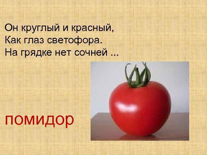 Он круглый и красный, Как глаз светофора. На грядке нет сочней. . . помидор