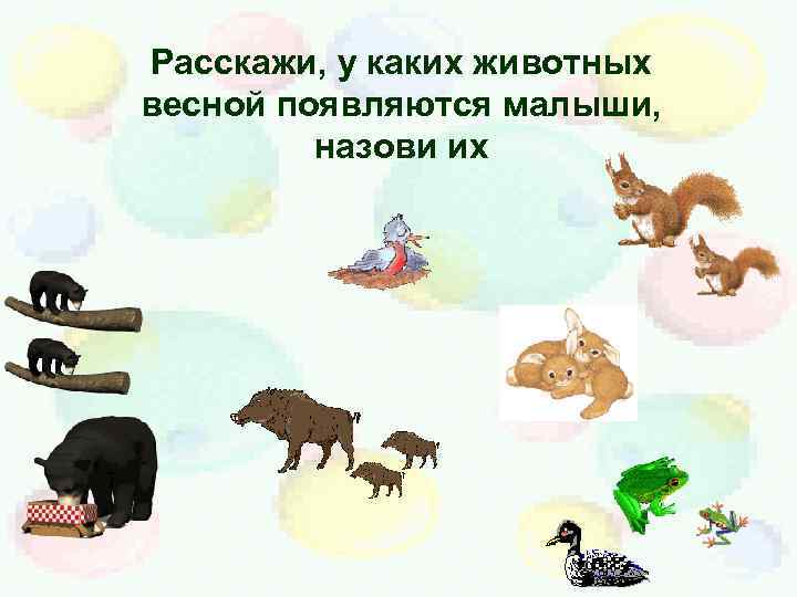 Расскажи, у каких животных весной появляются малыши, назови их 