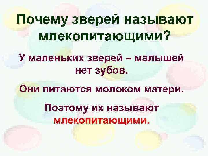 Почему зверей называют млекопитающими? У маленьких зверей – малышей нет зубов. Они питаются молоком