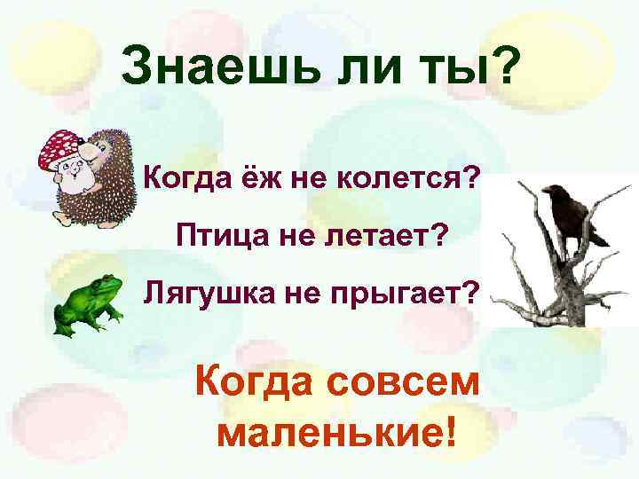 Знаешь ли ты? Когда ёж не колется? Птица не летает? Лягушка не прыгает? Когда