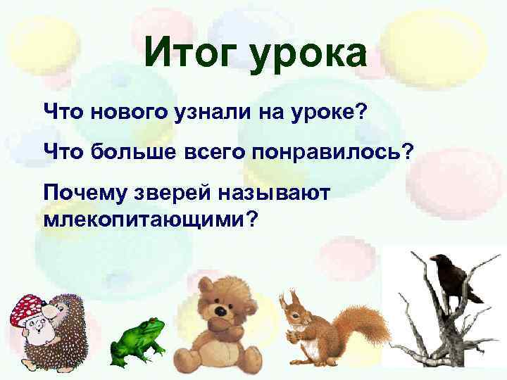 Итог урока Что нового узнали на уроке? Что больше всего понравилось? Почему зверей называют