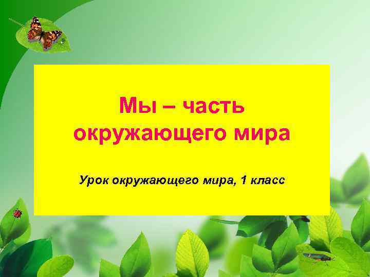 Мы – часть окружающего мира Урок окружающего мира, 1 класс 