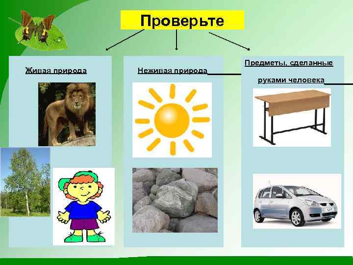 Проверьте Живая природа Неживая природа Предметы, сделанные руками человека 