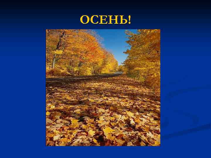 ОСЕНЬ! 