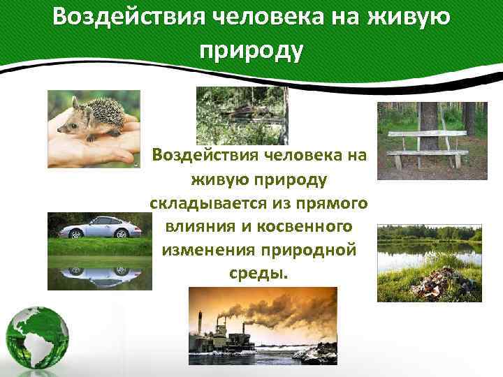 Воздействия человека на живую природу складывается из прямого влияния и косвенного изменения природной среды.