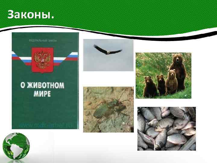 Законы. 