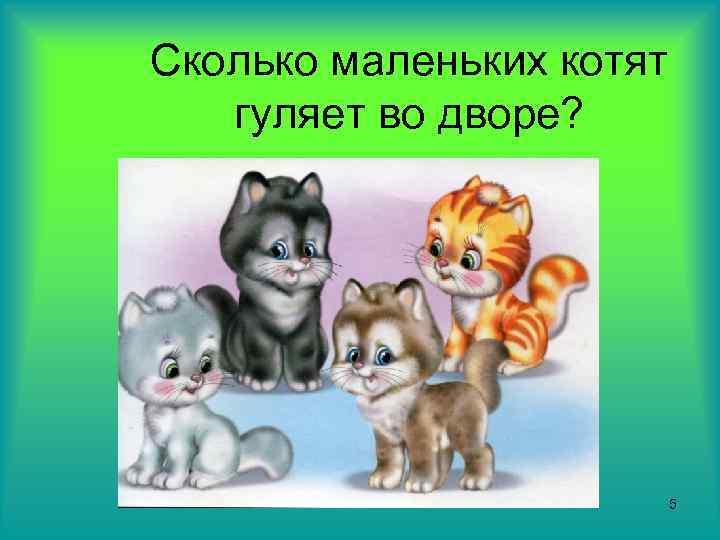 Сколько маленьких котят гуляет во дворе? 5 