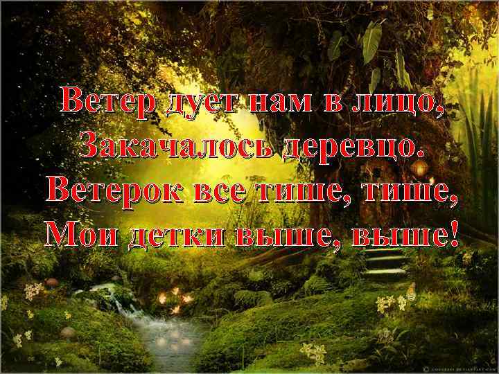 Ветер дует нам в лицо, Закачалось деревцо. Ветерок все тише, Мои детки выше, выше!