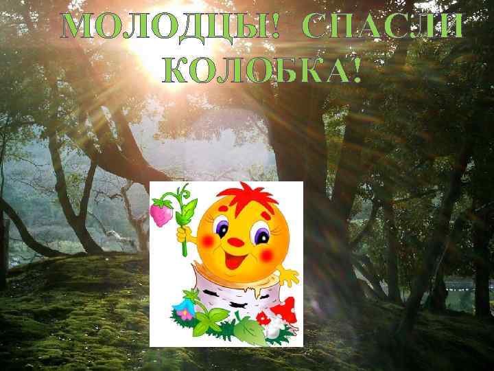 МОЛОДЦЫ! СПАСЛИ КОЛОБКА! 