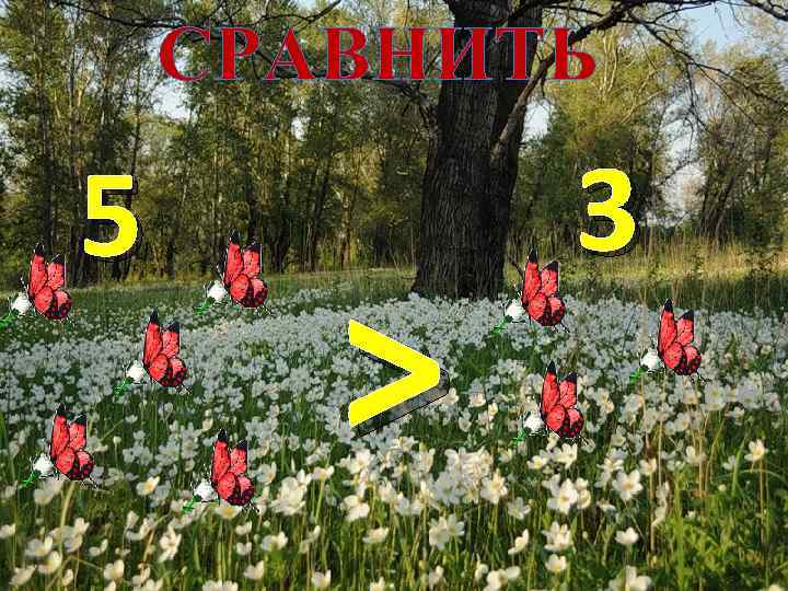 СРАВНИТЬ 5 > 3 