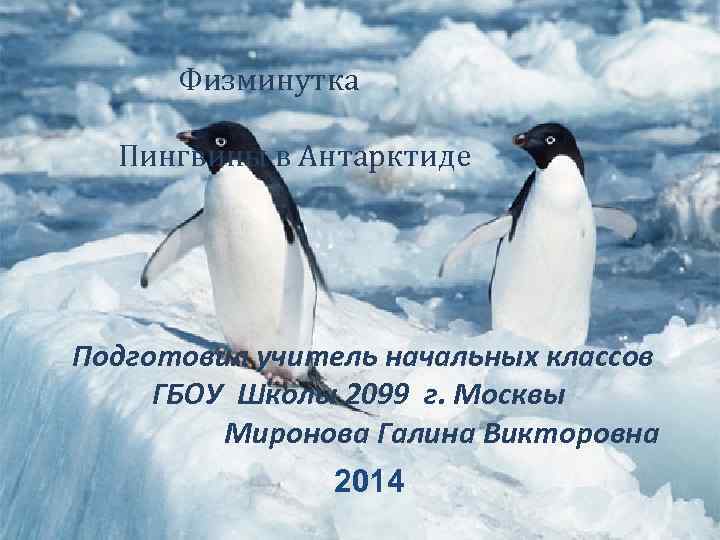 Физминутка Пингвины в Антарктиде Подготовил учитель начальных классов ГБОУ Школы 2099 г. Москвы Миронова
