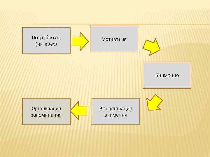 Потребность (интерес) Мотивация Внимание Организация запоминания Концентрация внимания 