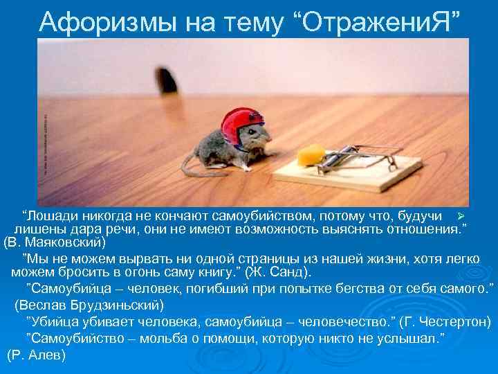 Афоризмы на тему “Отражени. Я” “Лошади никогда не кончают самоубийством, потому что, будучи Ø
