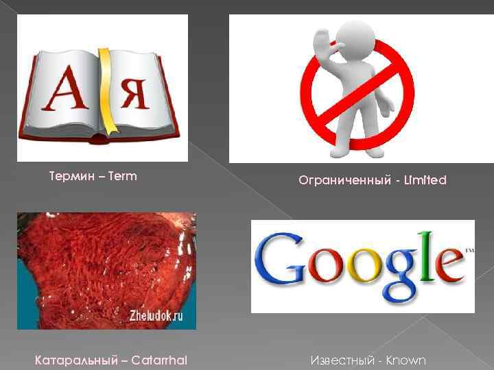 Термин – Term Катаральный – Catarrhal Ограниченный - Limited Известный - Known 