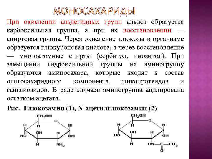 При окислении альдегидных групп альдоз образуется карбоксильная группа, а при их восстановлении — спиртовая