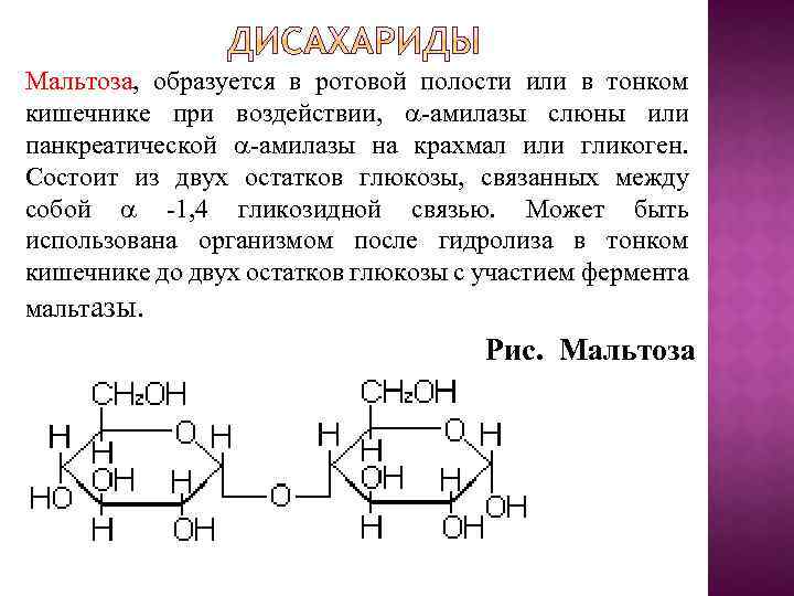 Мальтоза, образуется в ротовой полости или в тонком кишечнике при воздействии, -амилазы слюны или