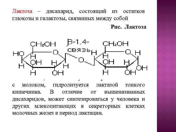 Галактоза это дисахарид. Лактоза связь. Лактоза дисахарид. Лактоза класс органического соединения. Лактоза Тип связи.